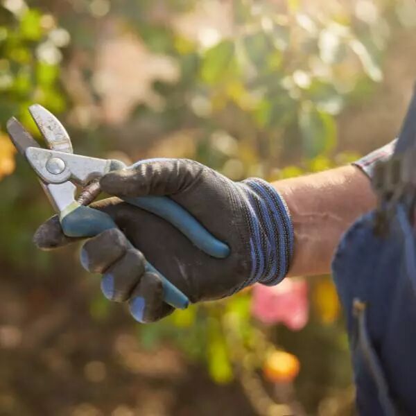 main avec gant qui utilise un s�cateur