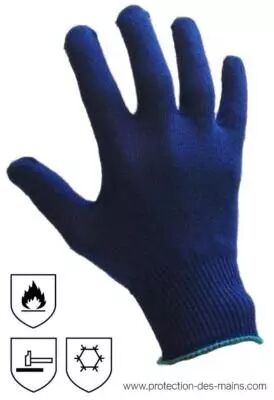 Gants fins ou Sous-Gants polaire Somlys