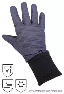 Gants professionnels grand froid