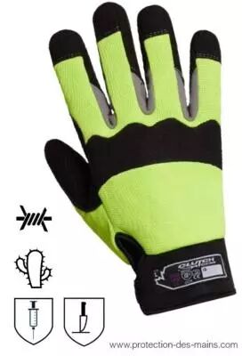 photo gant anti piq�re