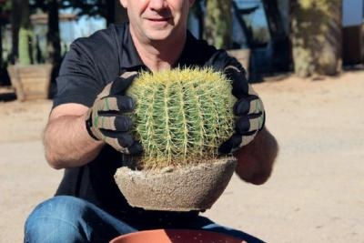 photo homme qui porte un cactus avec des gants
