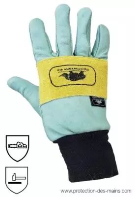 Gants de protection pour tronçonneuse, L