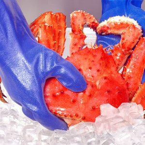 Manipulation de crustacés avec un gant professionnel étanche